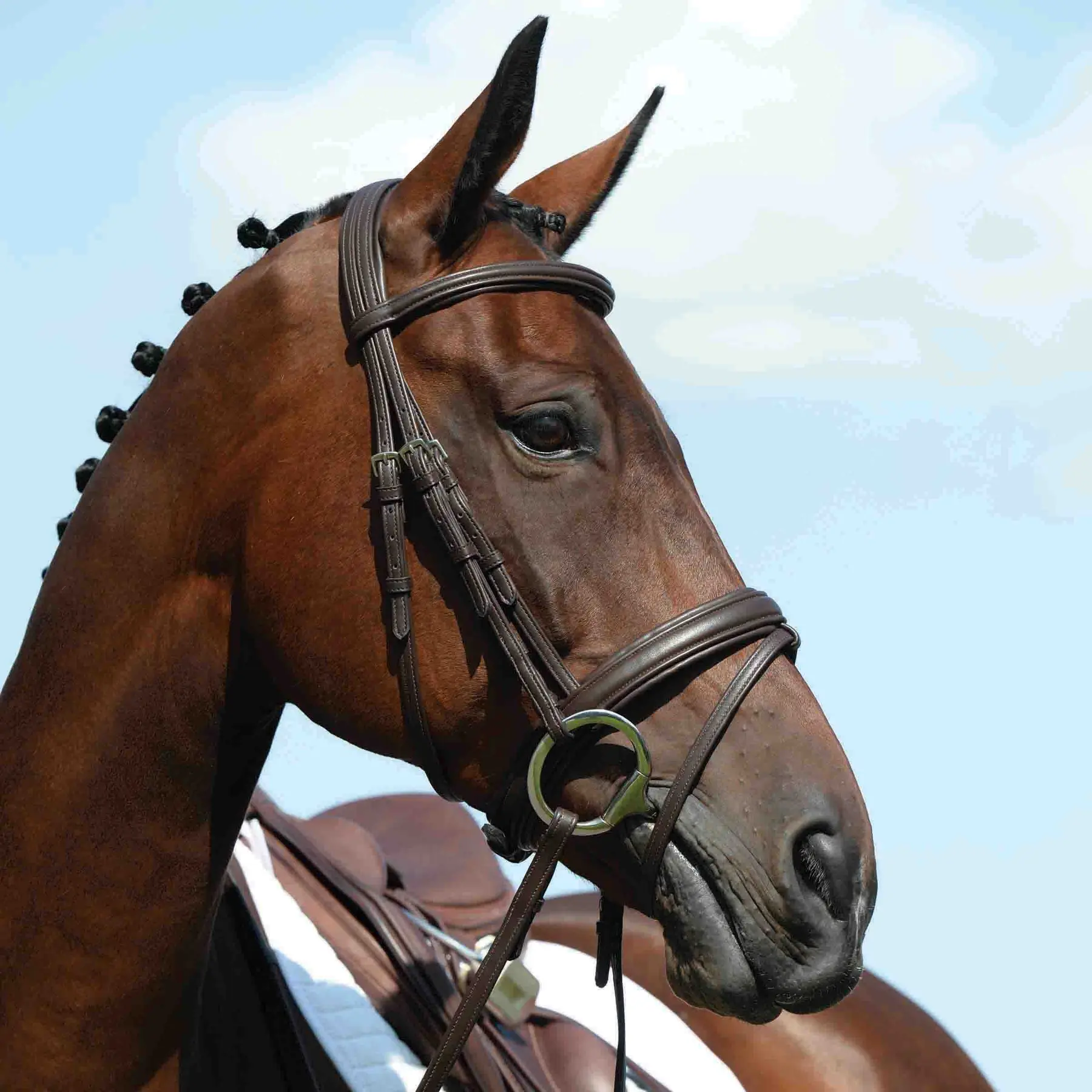 Comparer les prix de Bridons équitation surélevée rembourrée Weatherbeeta Collegiate Syntovia+
