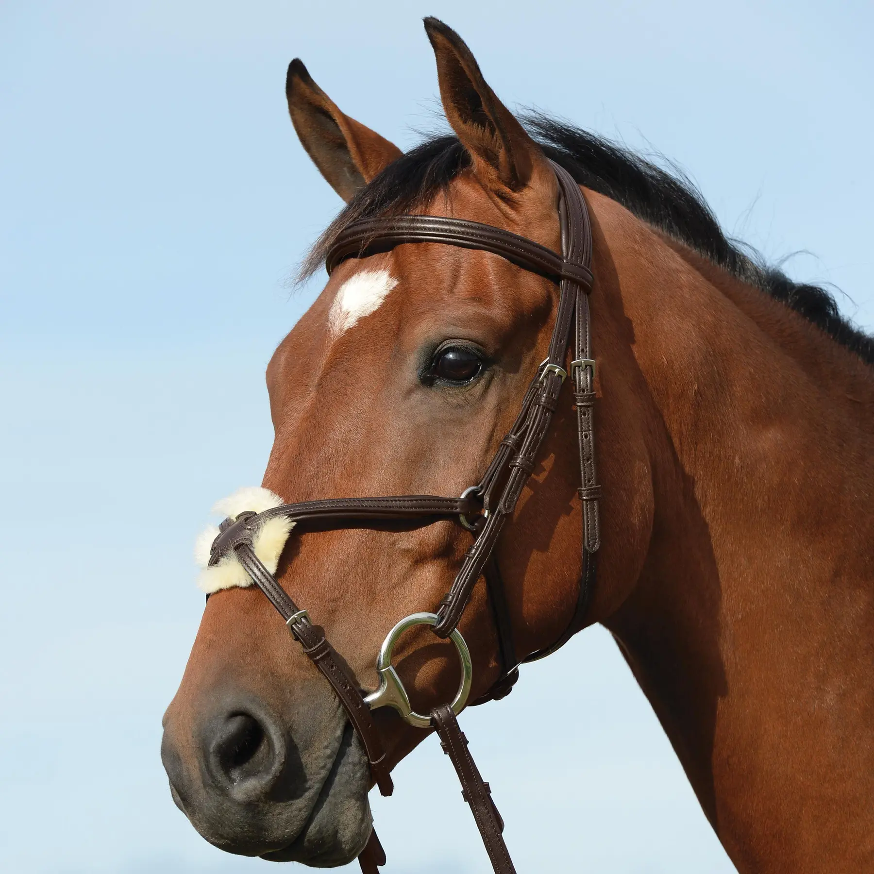 Meilleurs prix pour Bridons équitation surélevée rembourrée en forme de 8 Weatherbeeta Collegiate Syntovia+