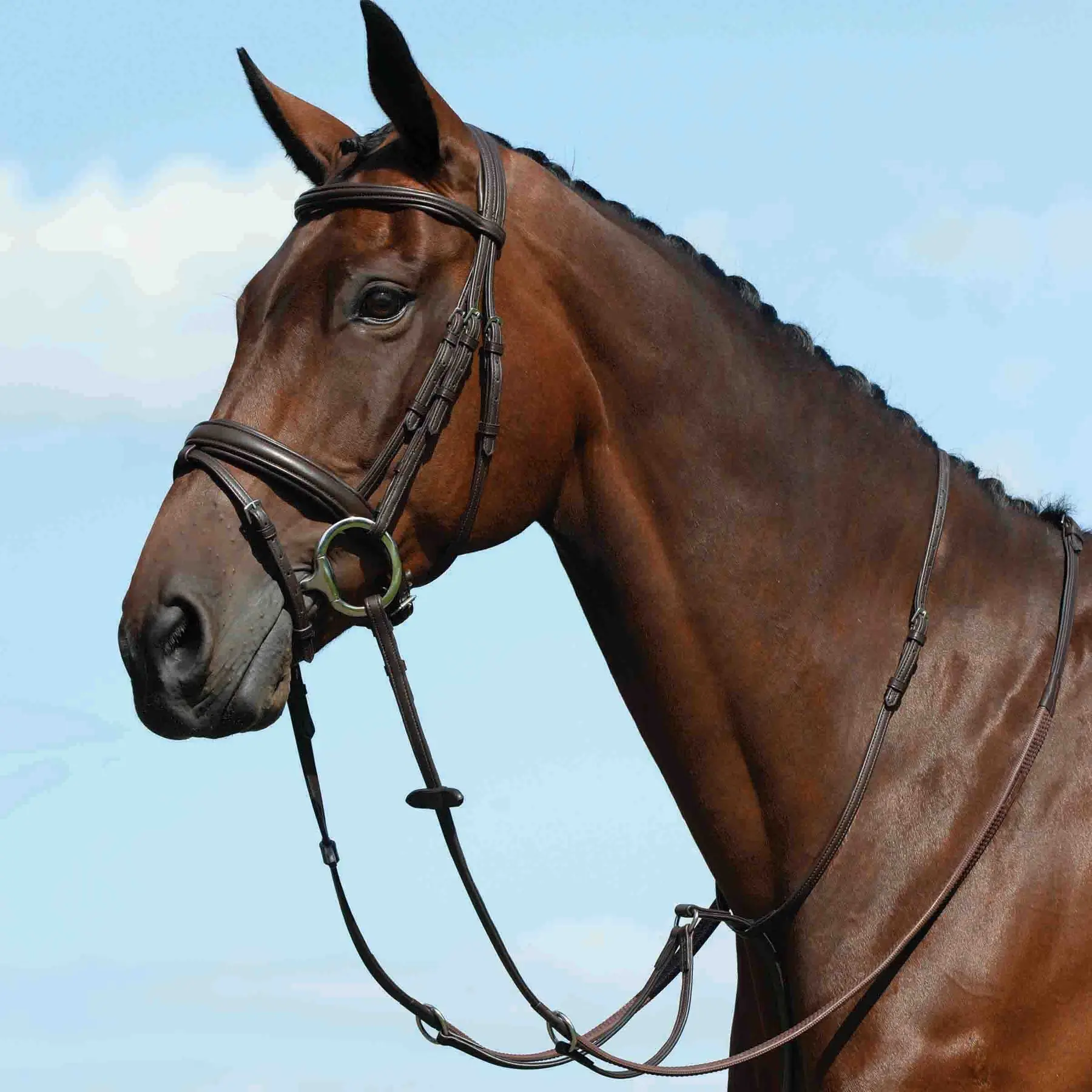 Weatherbeeta Marron Flat Plain Horse Martingale Collegiate Syntovia+