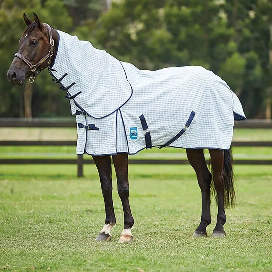 Weatherbeeta Blanc Fly Blanket