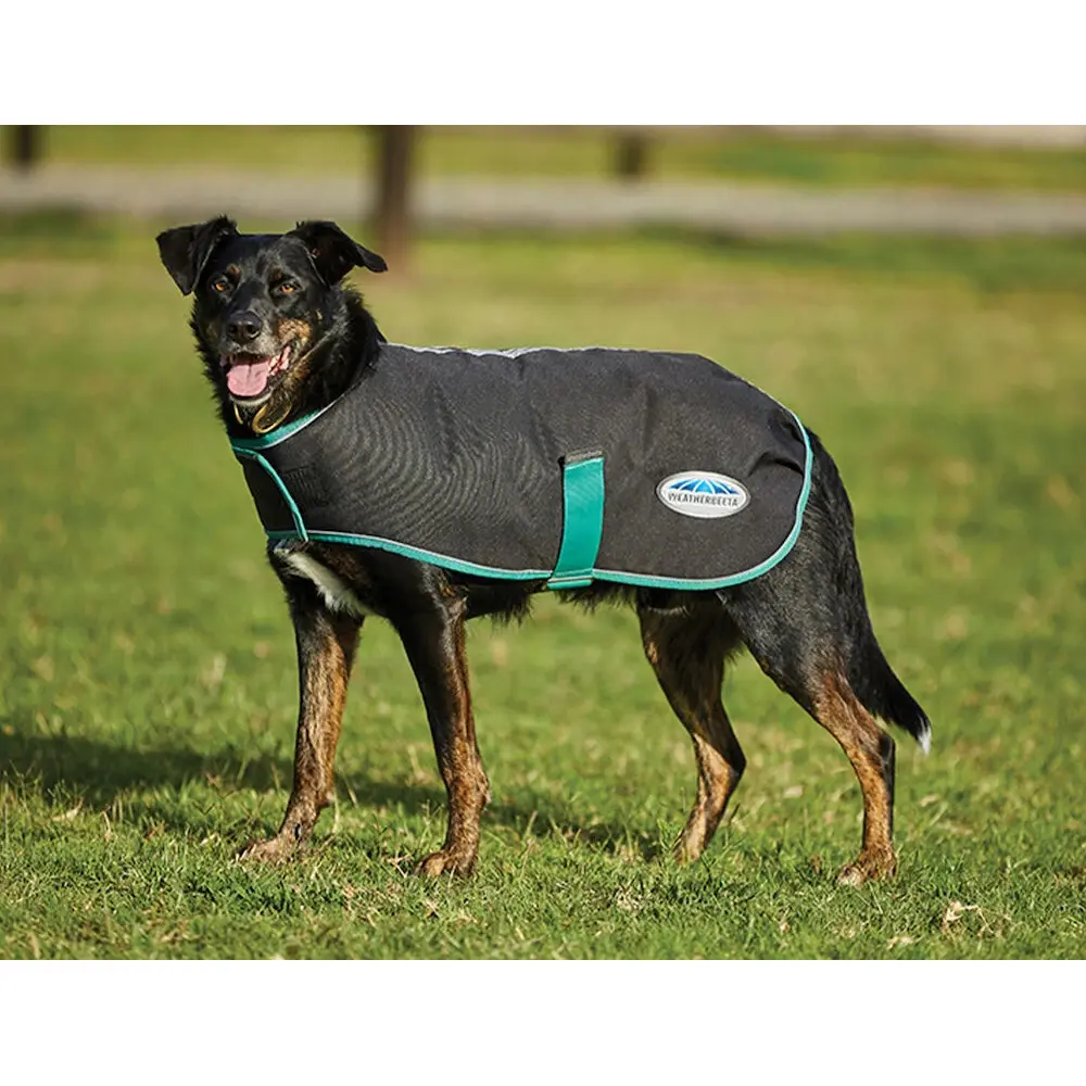 Comparer les prix de Couverture pour chien Weatherbeeta Green-Tec Medium