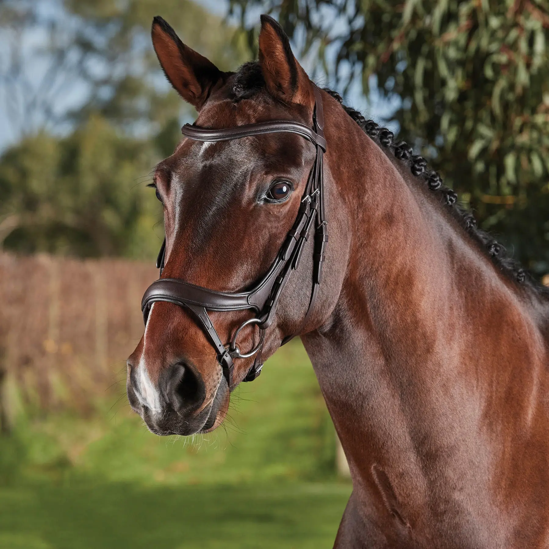 Comparer les prix de Bridons équitation anatomique Weatherbeeta Collegiate Comfitec Vogue