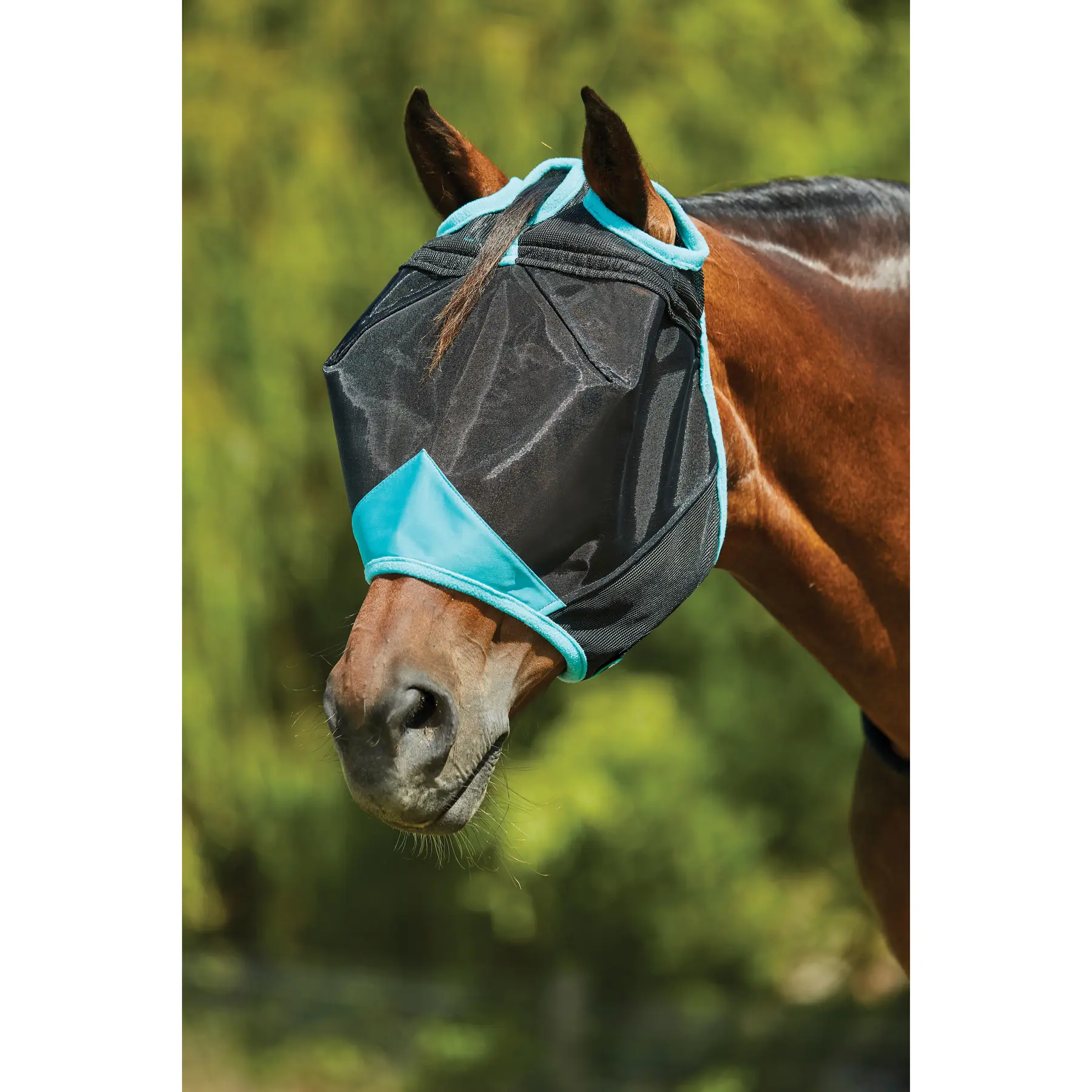 Weatherbeeta Noir Anti-Fly Mask For Horses En Maille Fine Comfitec Deluxe