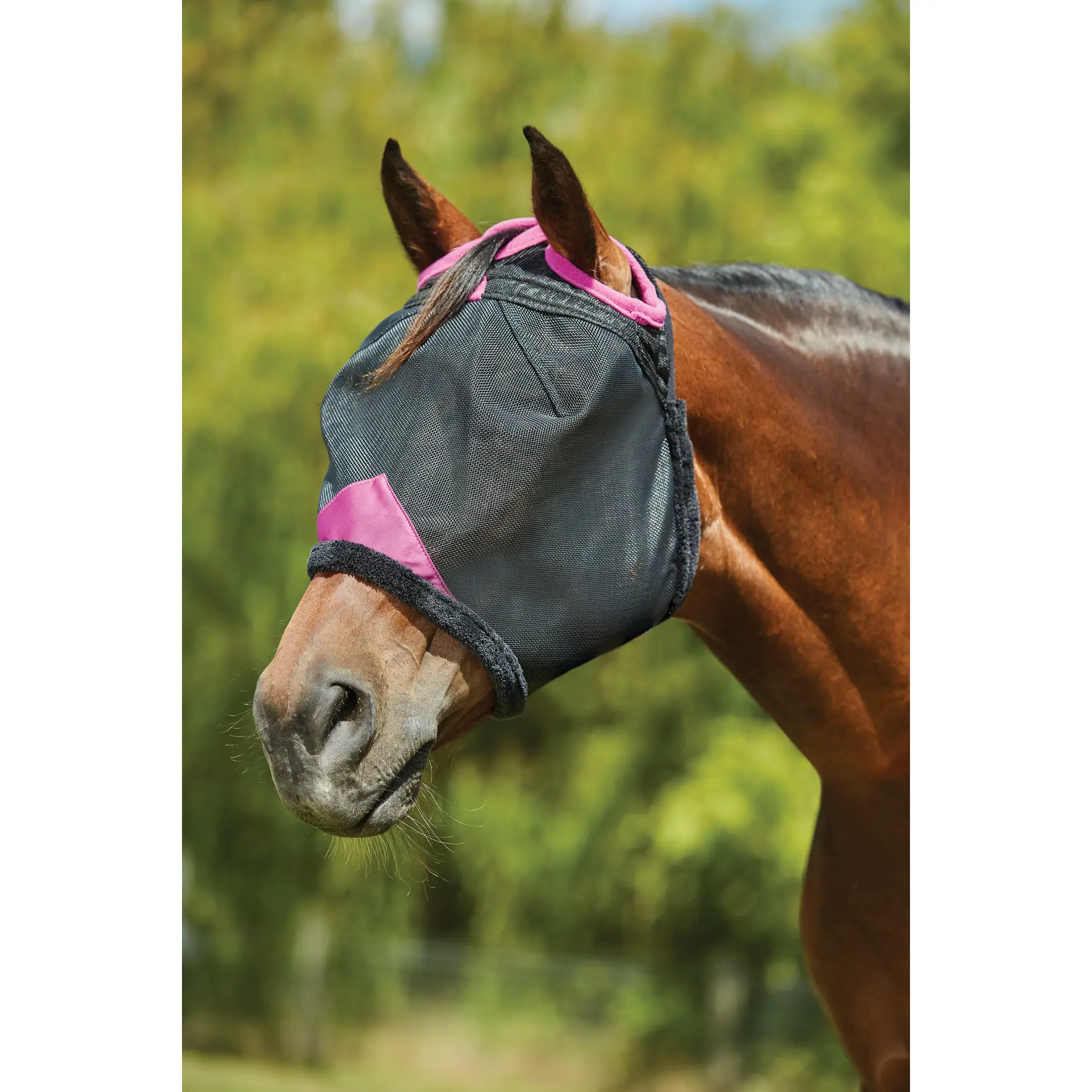 Meilleurs prix pour Masque anti-mouches pour cheval en maille durable Weatherbeeta Comfitec Deluxe