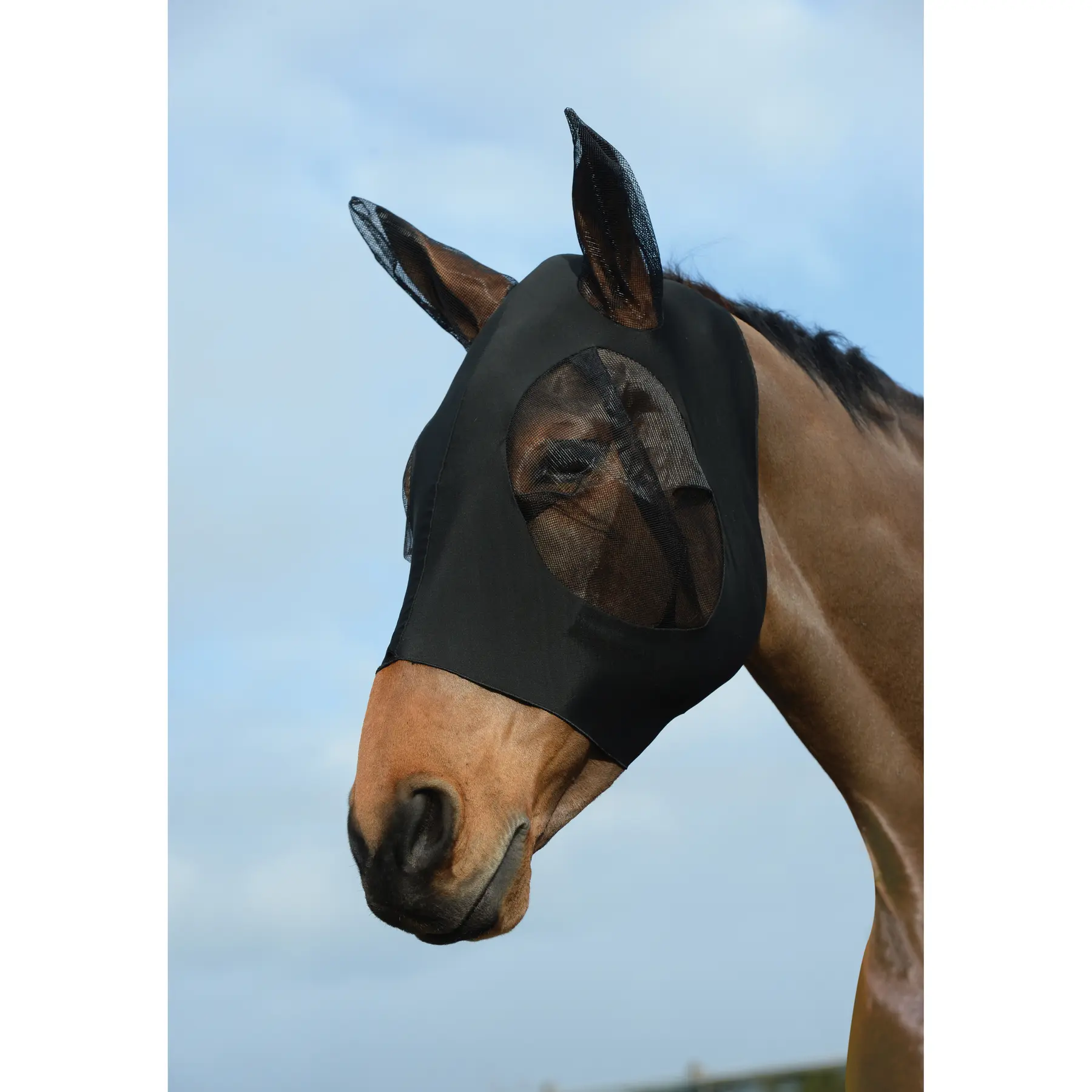 Weatherbeeta Noir Stretch Fly Mask For Horse Eyes And Ears Bug