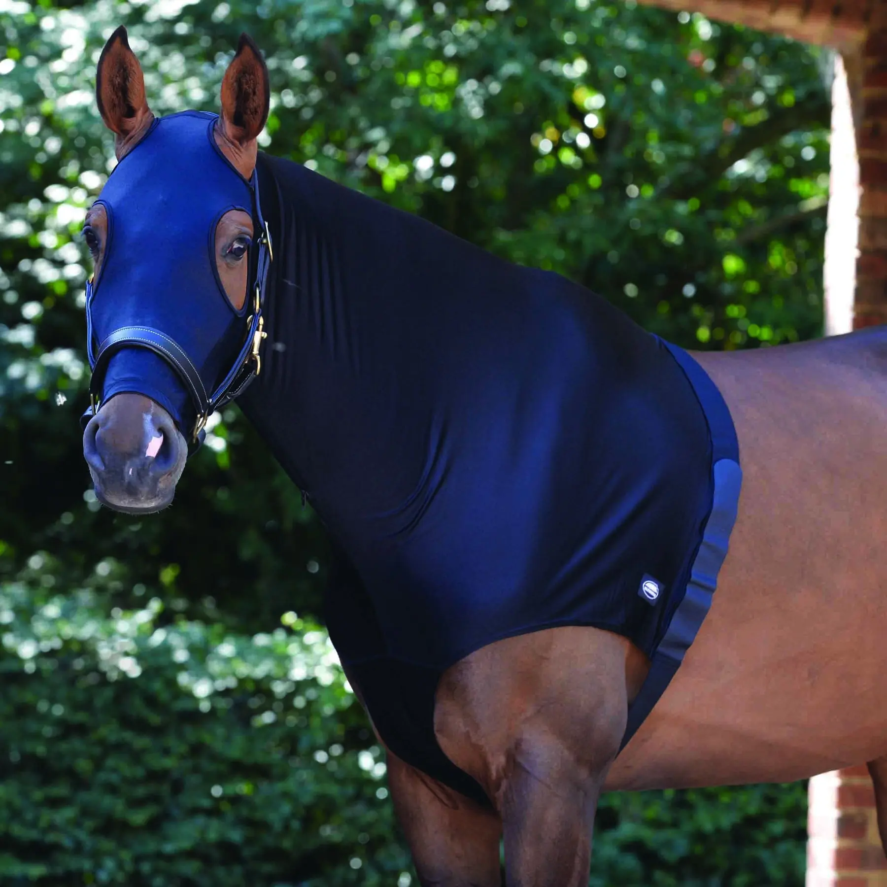 Weatherbeeta Noir Horse Shoulder Protector With Elastic Neck Cover