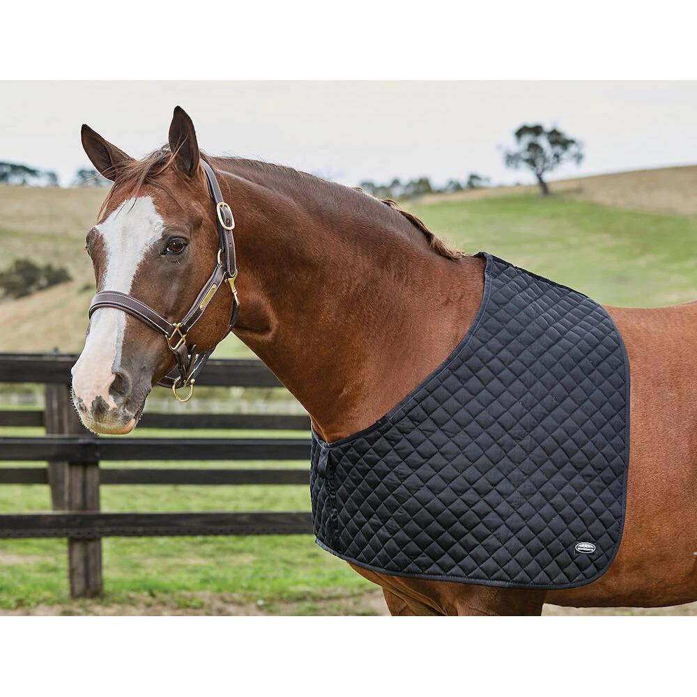 Protege-epaule+pour+cheval+Weatherbeeta+Deluxe