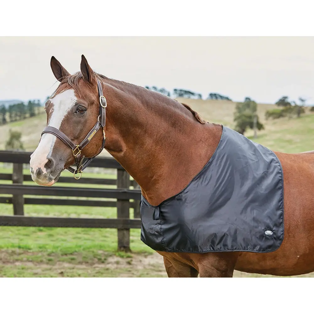 Meilleurs prix pour Protège-poitrail pour cheval en satin Weatherbeeta