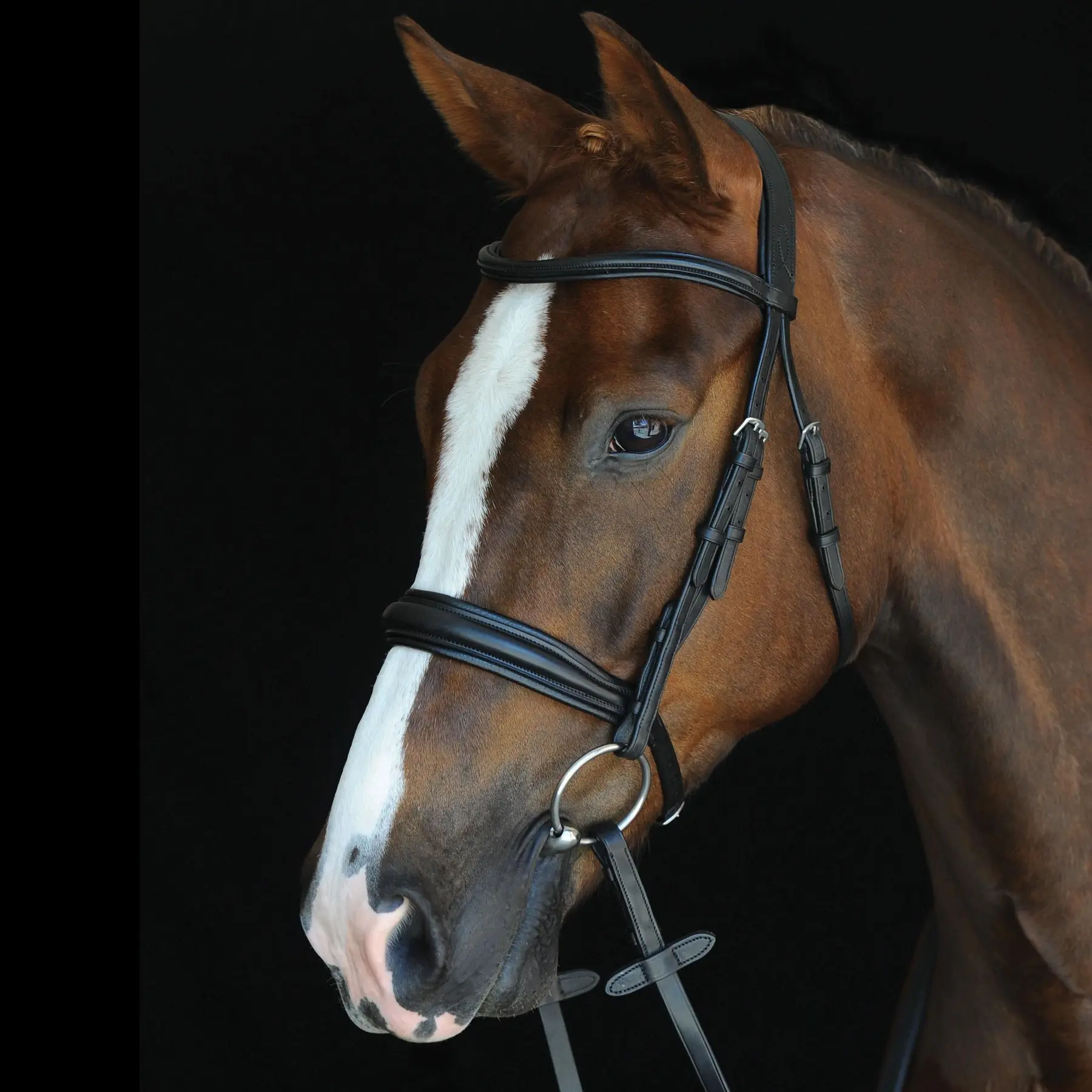 Weatherbeeta Noir Bridles Collegiate Mono Crown