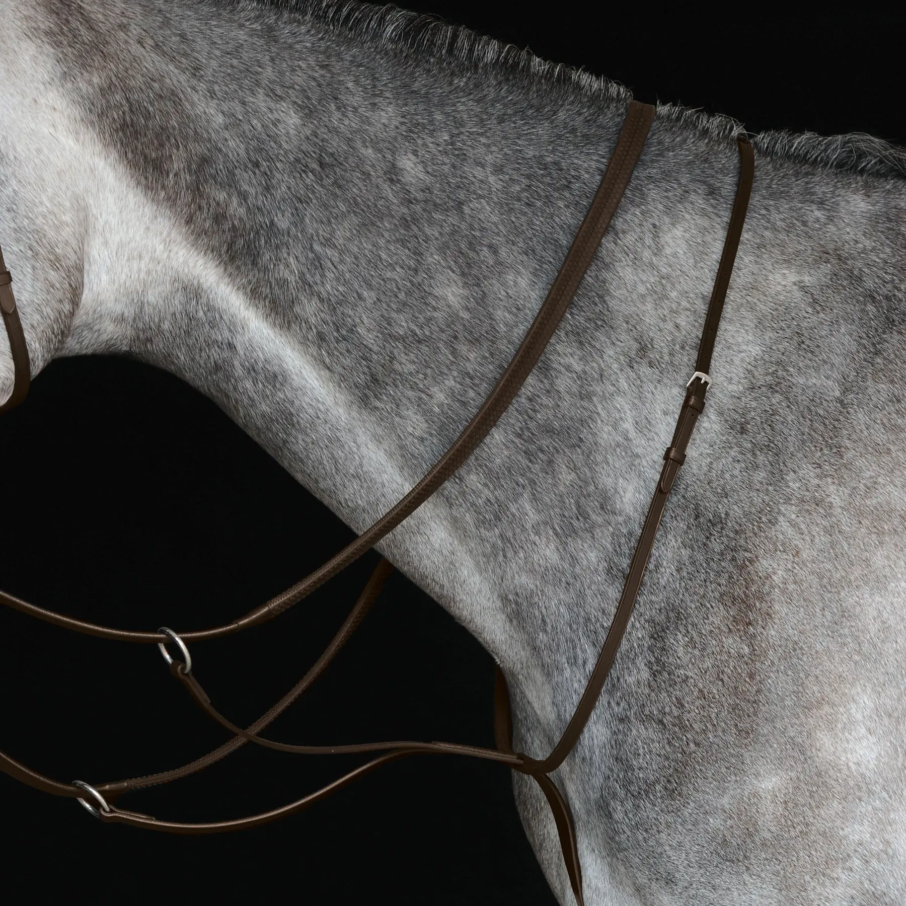 Meilleurs prix pour Martingale de course pour cheval Weatherbeeta Collegiate IV