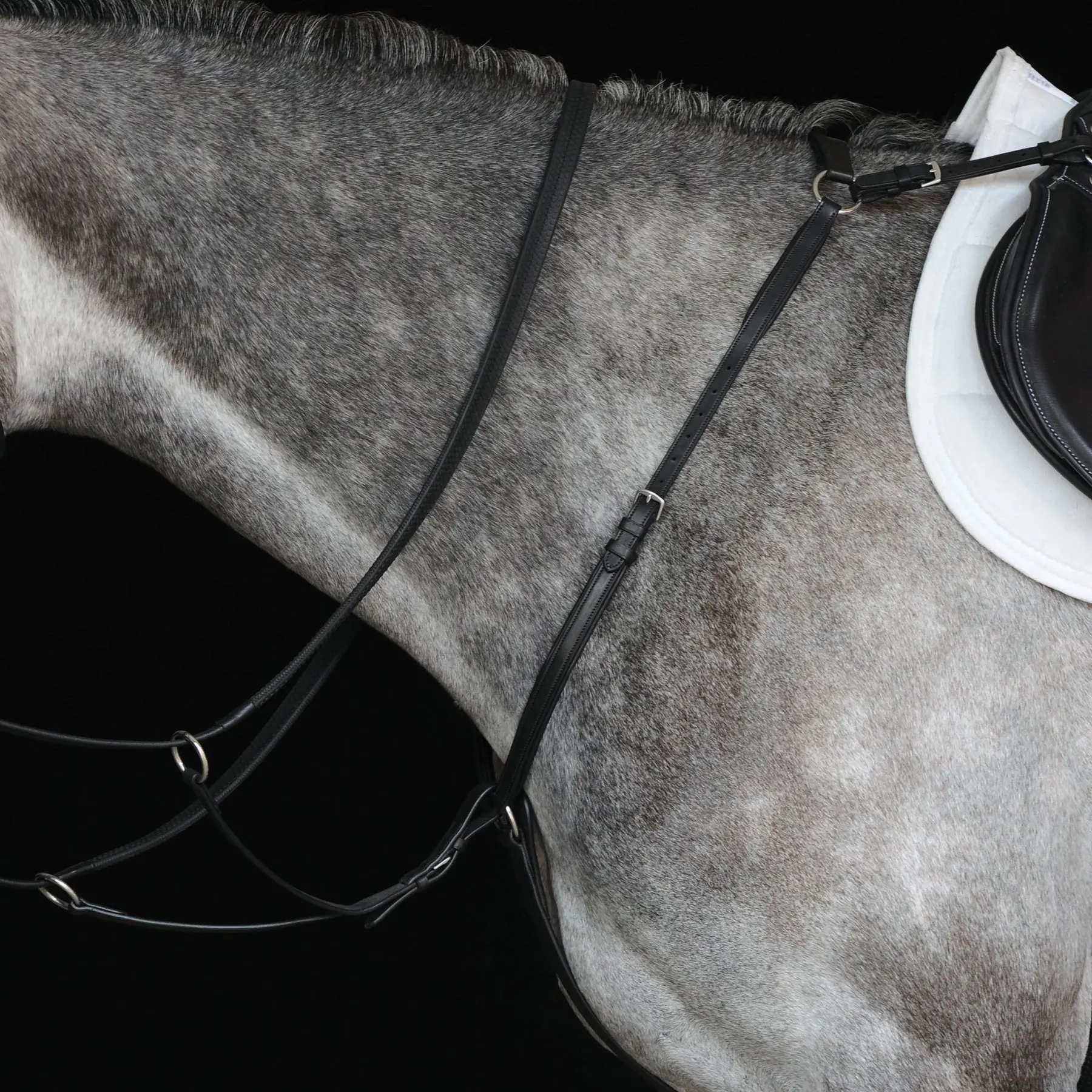 Weatherbeeta Noir Hunter Breastplate Collegiate Iv