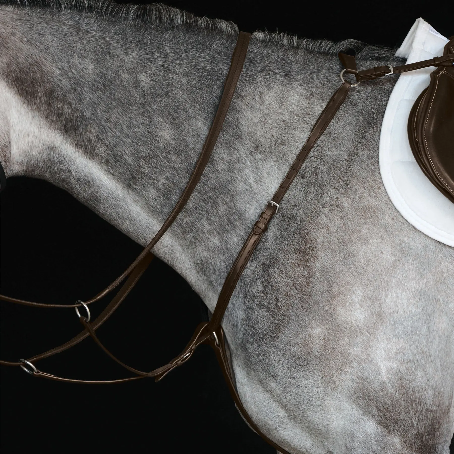 Comparer les prix de Plastron de chasseur Weatherbeeta Collegiate IV