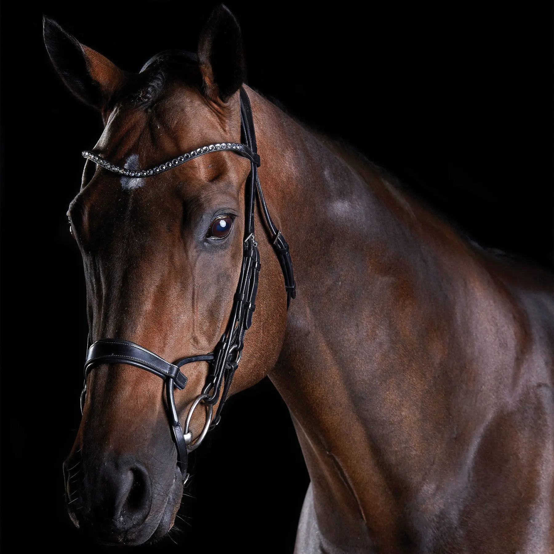 Weatherbeeta Noir Crystal Riding Bridles Collegiate Comfitec