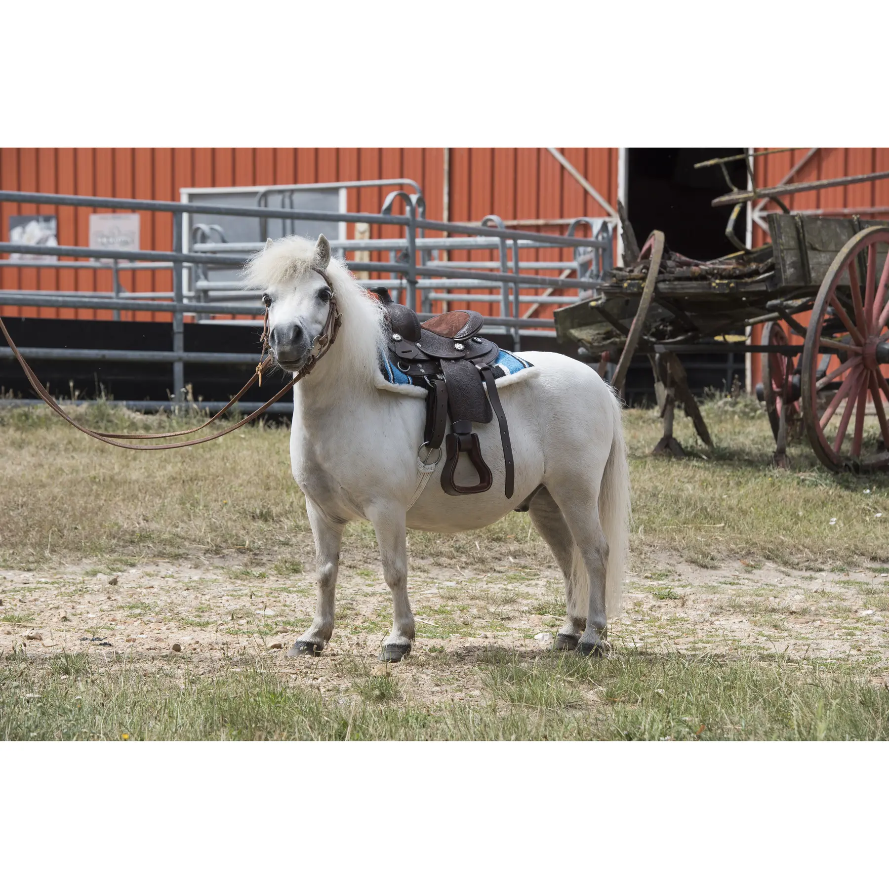 Tapis de western pour cheval matelassé Westride Navajo [Taille Shetland]