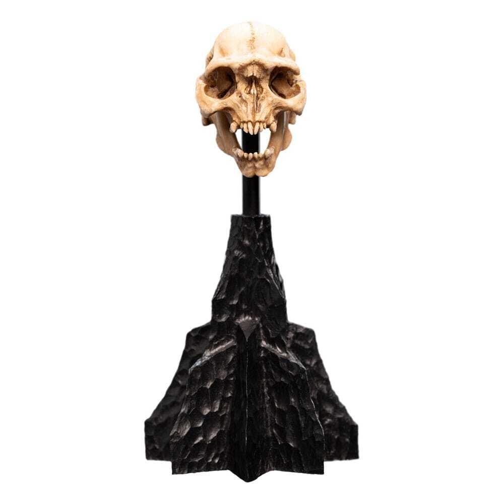 9420024744291 - Statuette Le Seigneur des Anneaux Skull of a Moria Orc