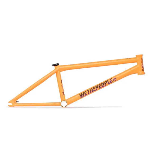 Image of Rahmen Wethepeople Doomsayer J. Godwin Sig.
