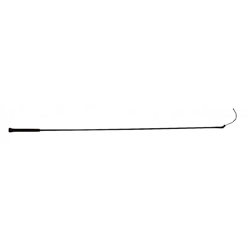 Whip & Go Noir Dressage Whip