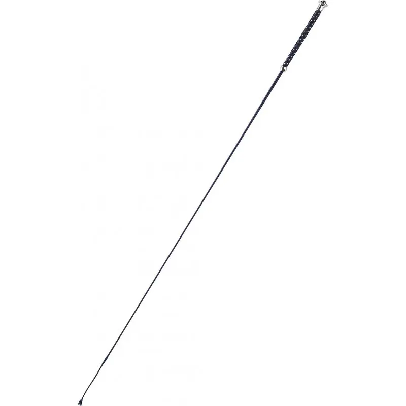 Dressurstock für Pferde Whip & Go Points