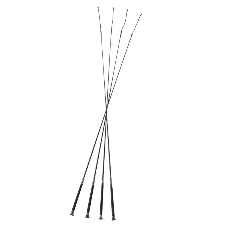 Comparer les prix de Stick de dressage pour cheval Whip & Go Silverline
