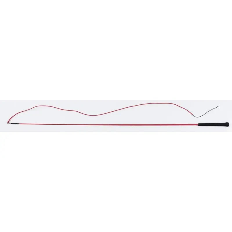 Whip & Go Rouge Riding Crop Polyamide Massif