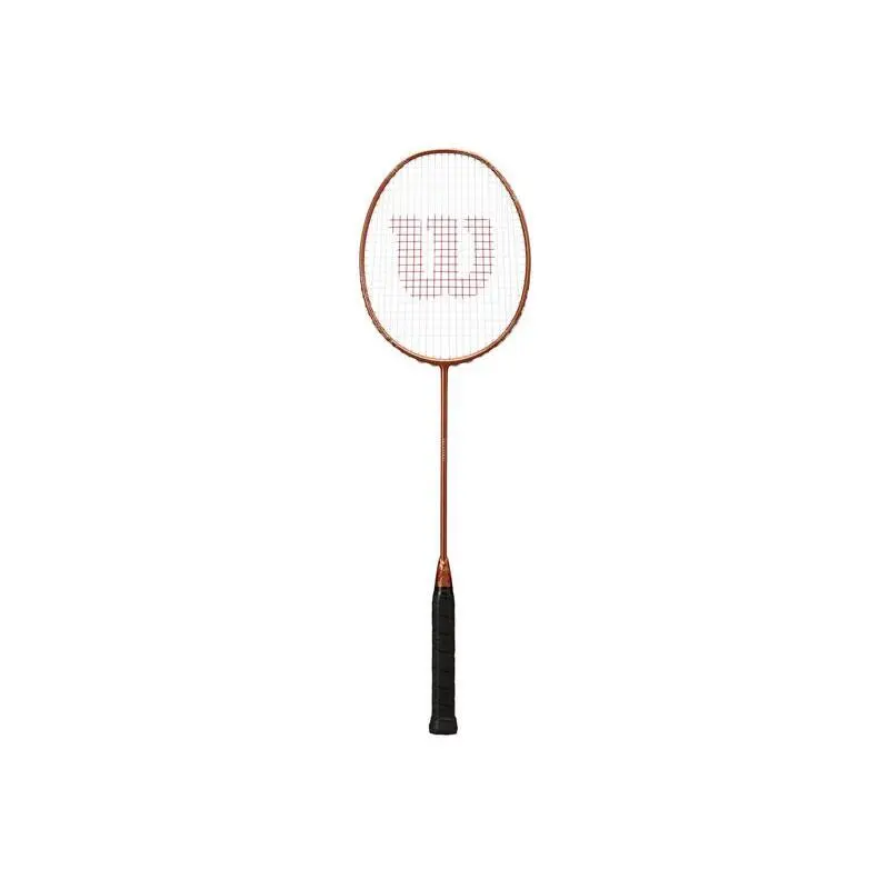 Badmintonschläger Wilson Vertex 300