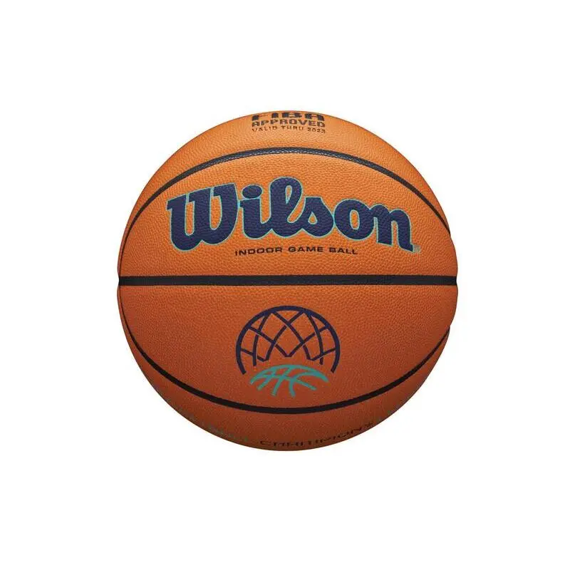 Basketball Wilson EVO NXT
