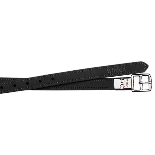 Comparer les prix de Etrivières équitation avec boucles Wintec Pro