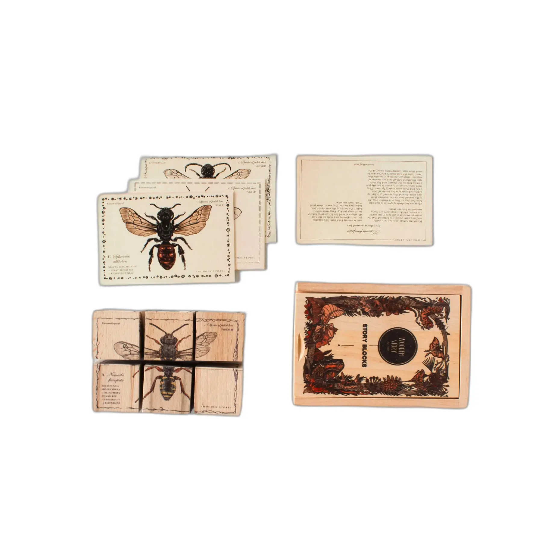 Puzzle Arten von Bienen Wooden Story