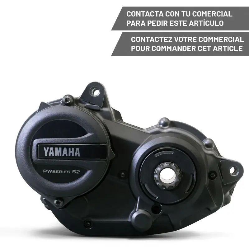 Elektromotor Yamaha PW-S2