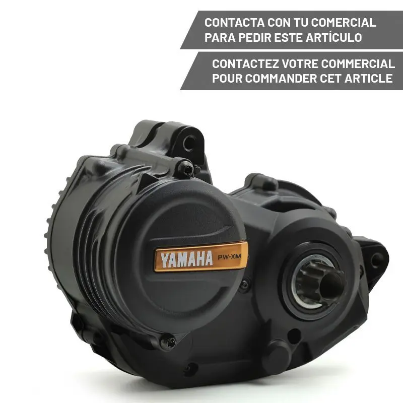 Motor Yamaha Pw-Xm