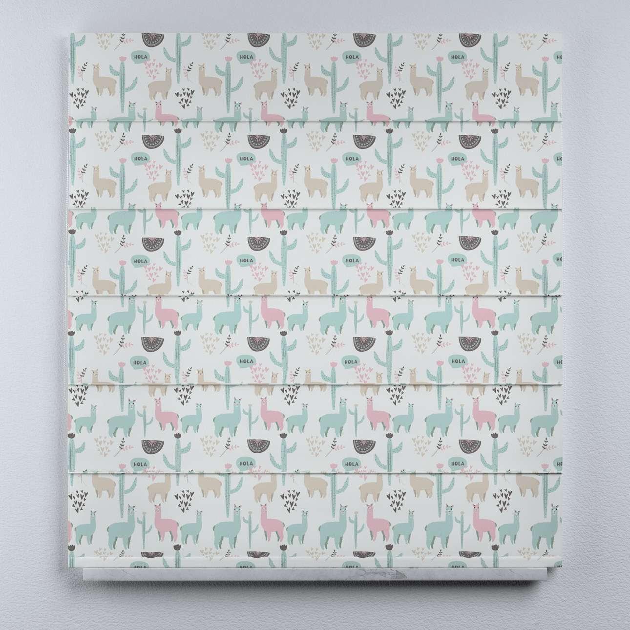 5902582072138 - Römische Jalousie aus Voile und Stoff Duo II