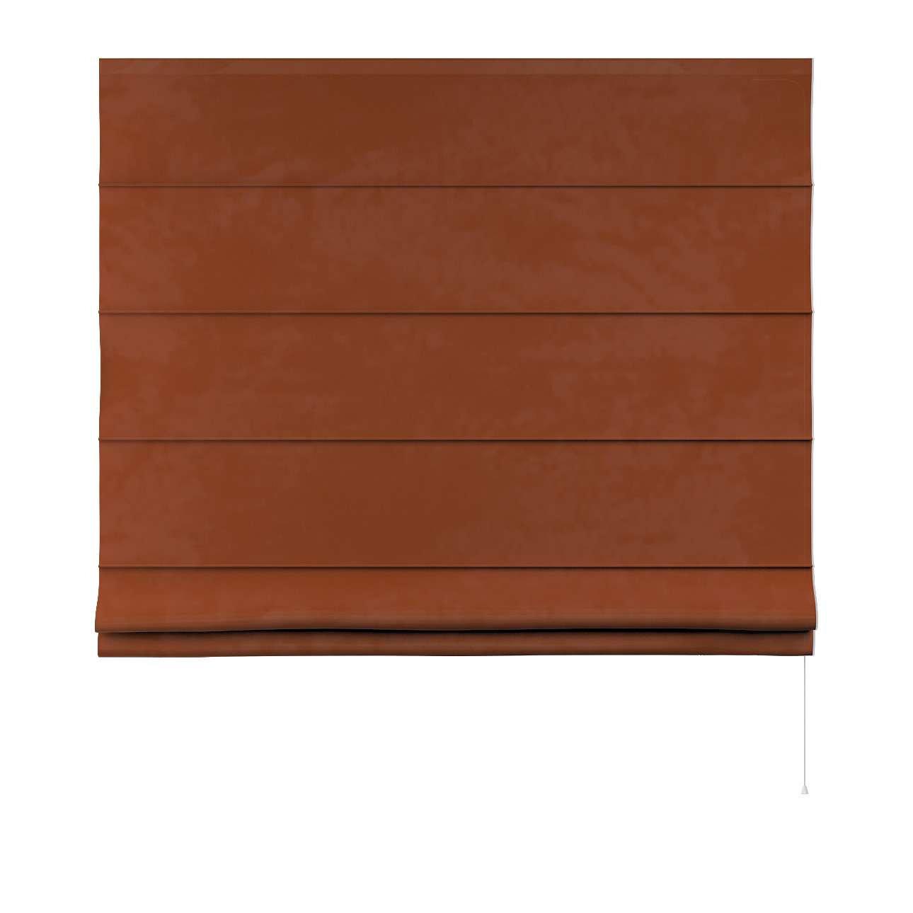 5902582004597 - Römische Jalousie Billie Posh Velvet