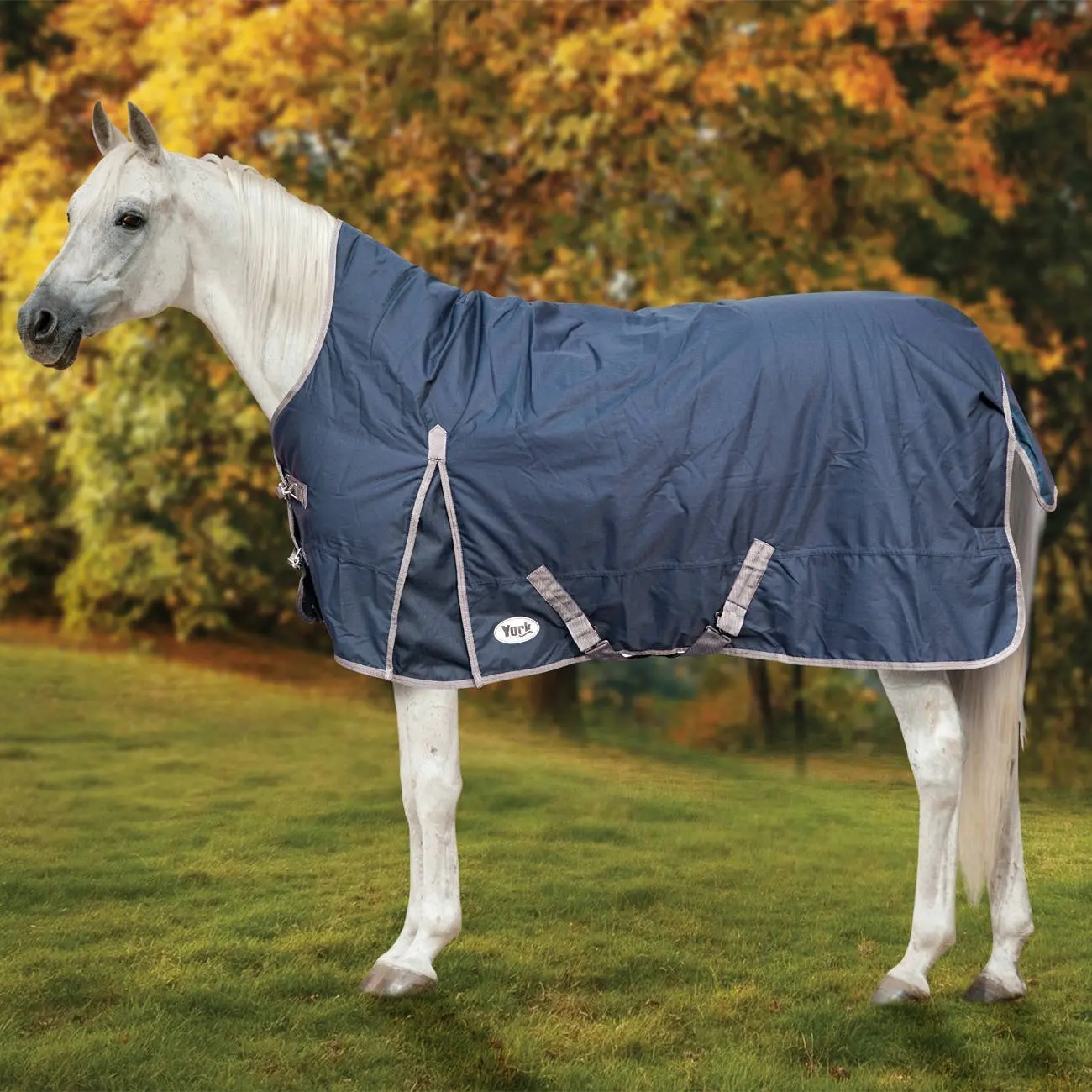 Couverture d'extérieur pour cheval York Calista 300 g