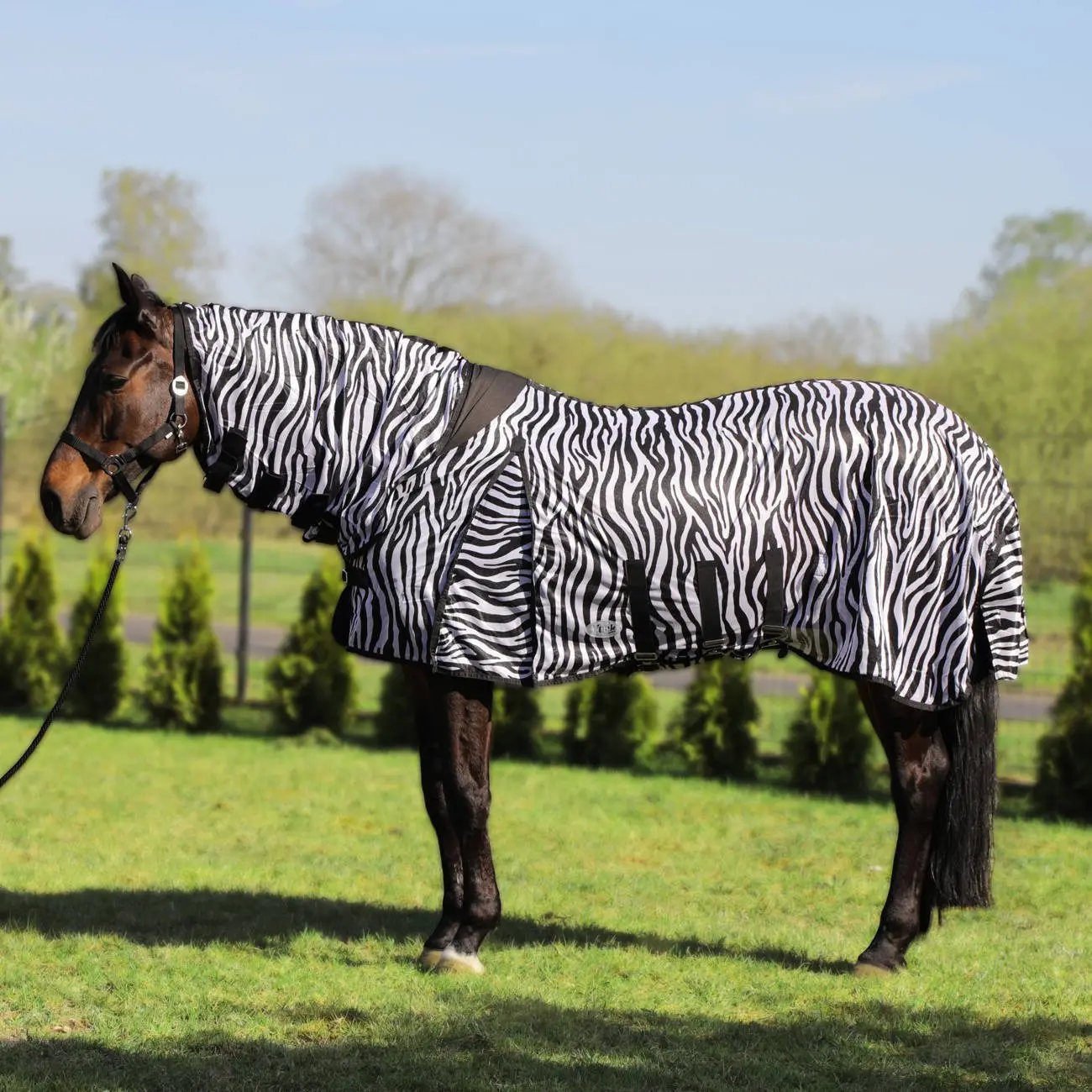 Fliegendecke für Pferd Zebra mit Halsteil York