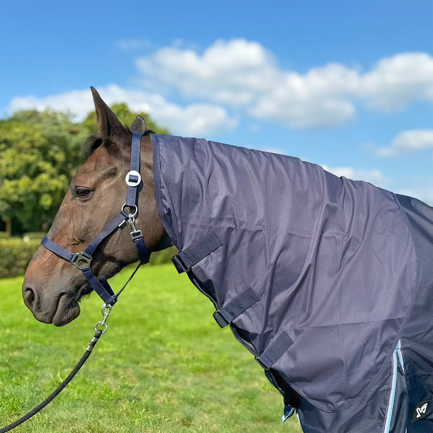 Couvre-cou pour cheval York