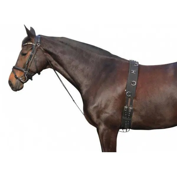 Chambon pour cheval York