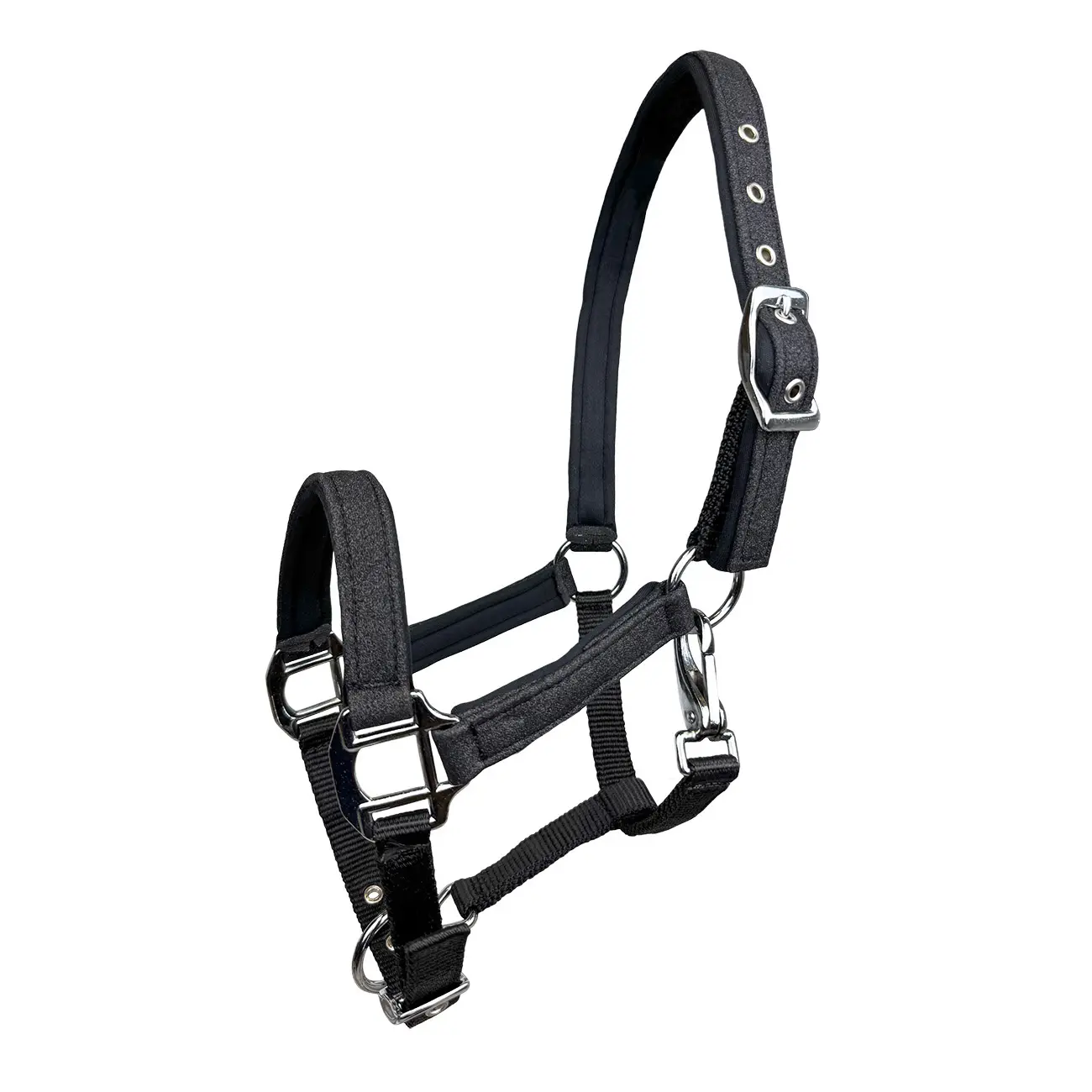 Licol pour cheval York Aston
