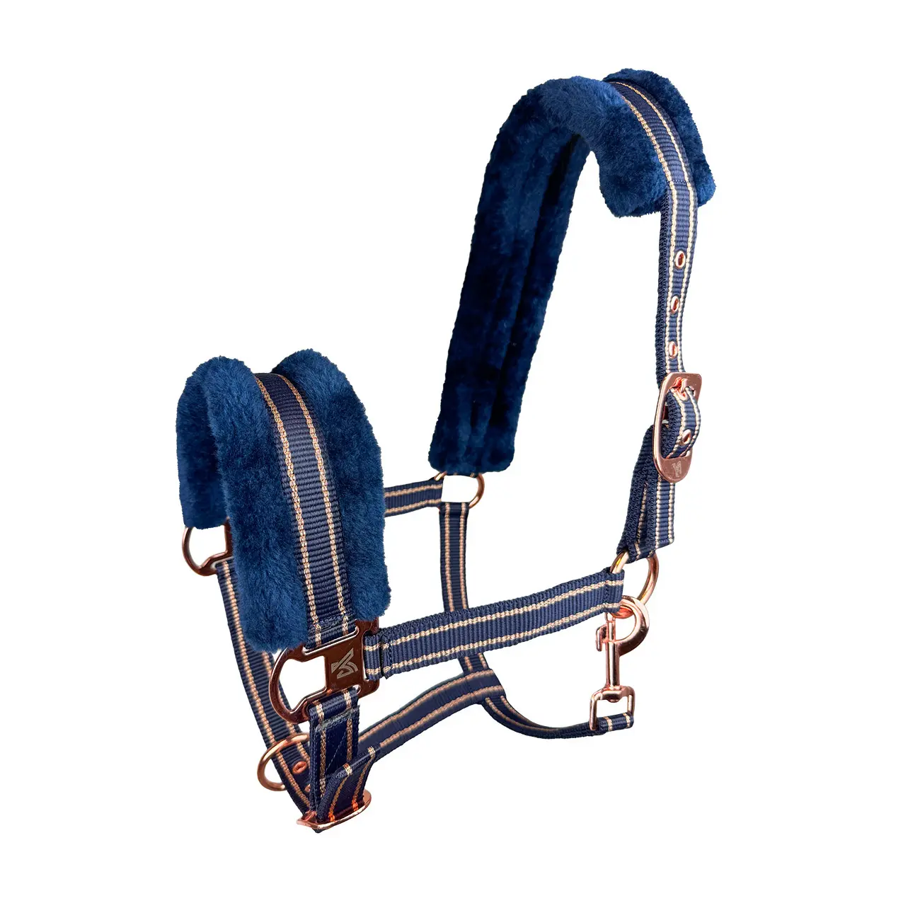 Licol pour cheval York Gold Star
