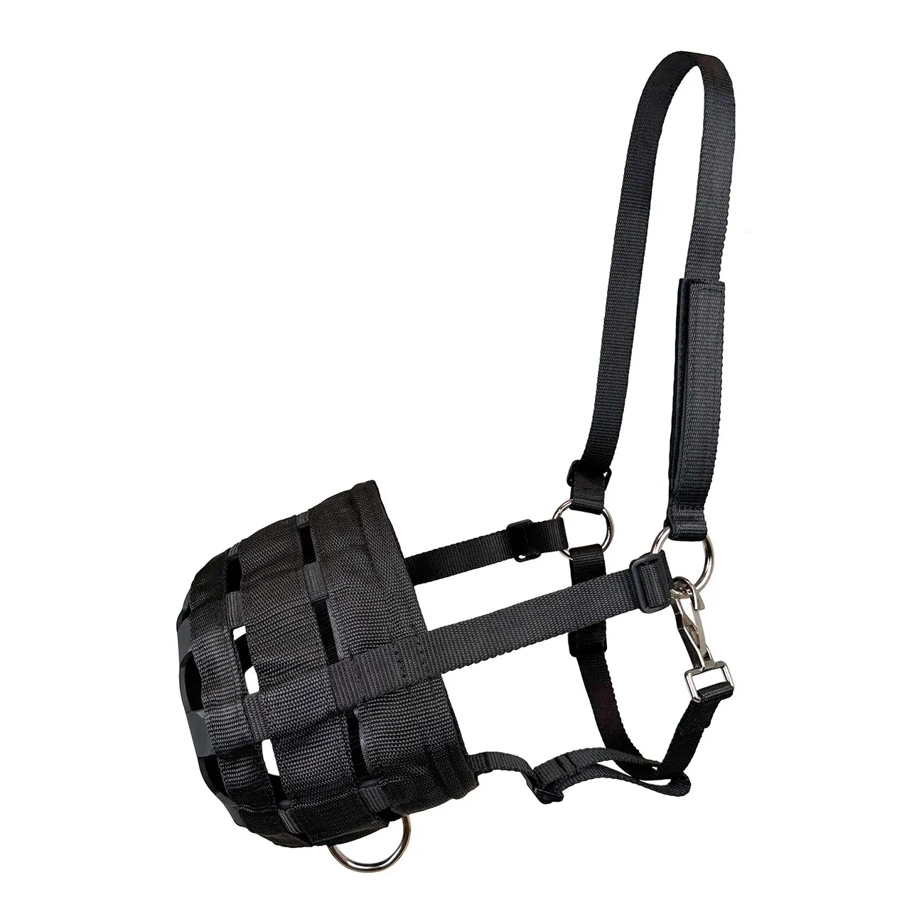 Muselière pour cheval York Iris