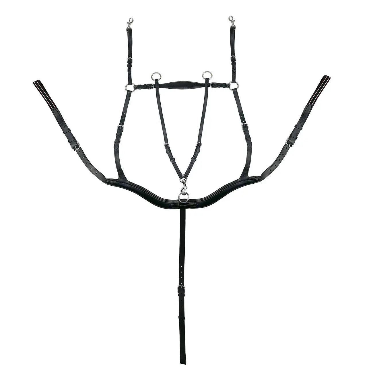 Collier de chasse pour cheval à 5 points York Eddy