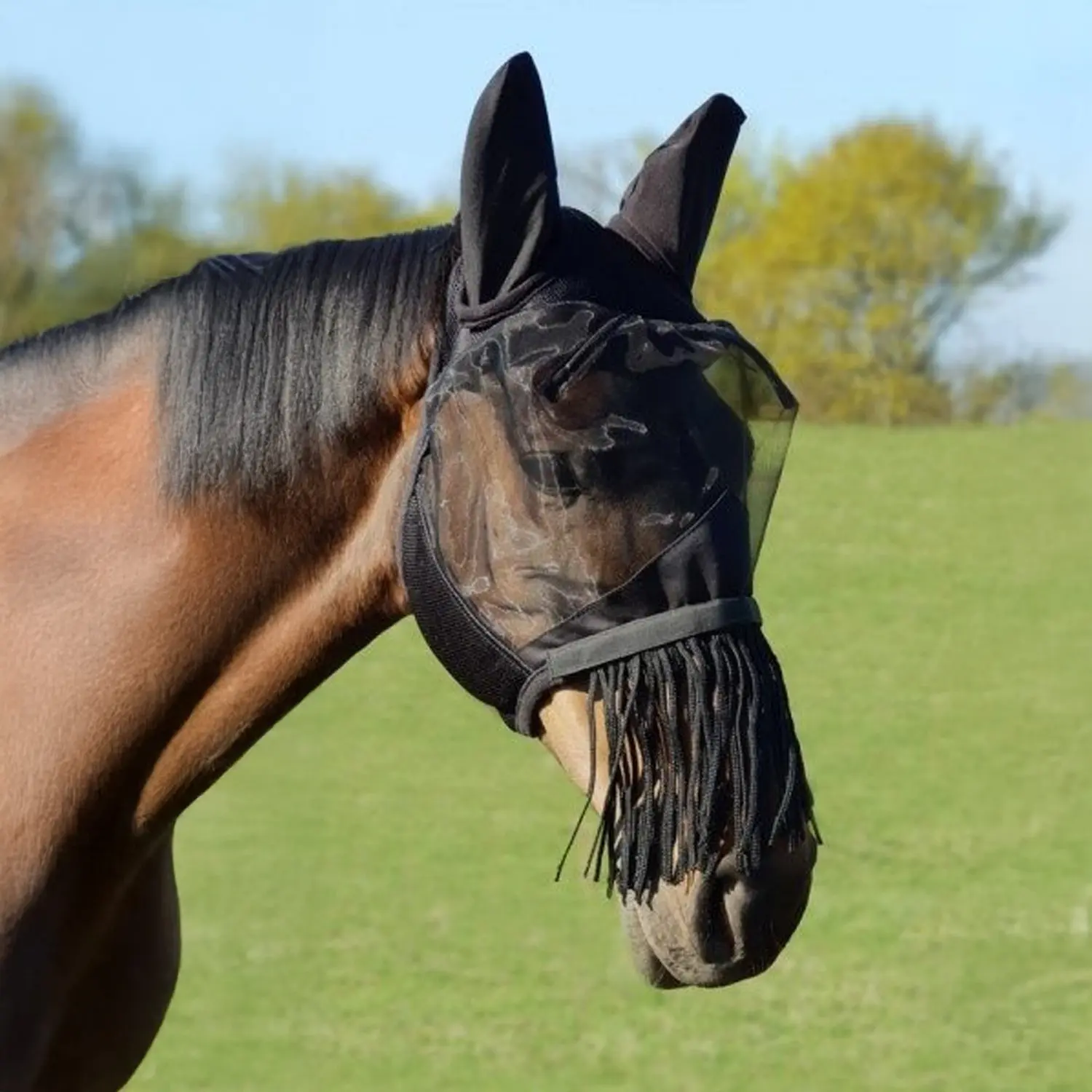 Masque anti-mouches pour cheval avec frange nasale York