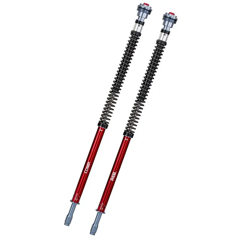 Kit Gabel für Motorrad mit Kartusche YSS HYD Z1 APRILIA RS 660 [660]