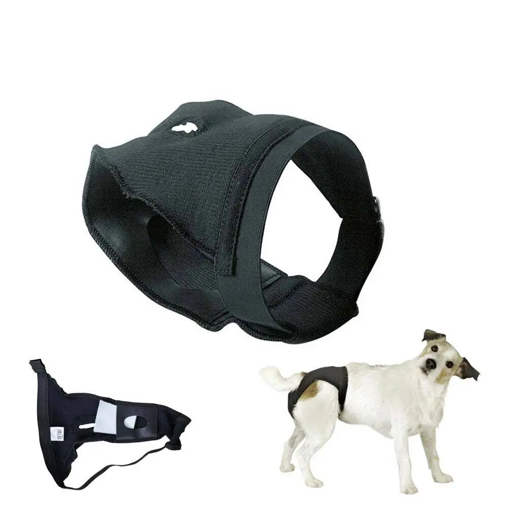 Culotte de protection pour chien Zaldi