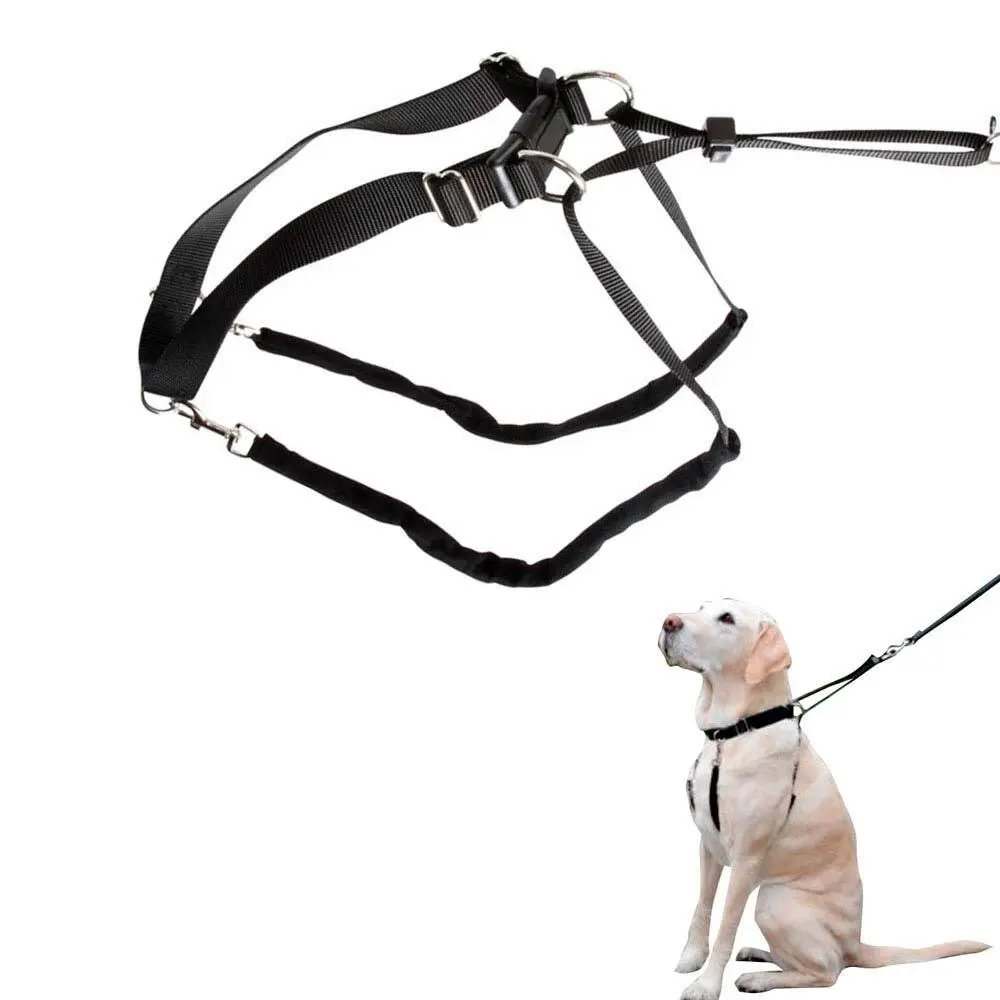 Harnais pour chien Zaldi Maxi Leader