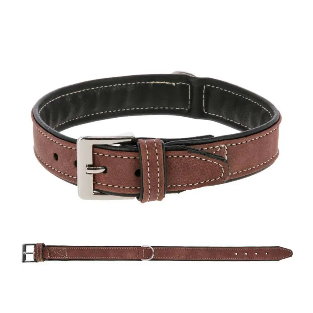 Collier pour chien Zaldi California