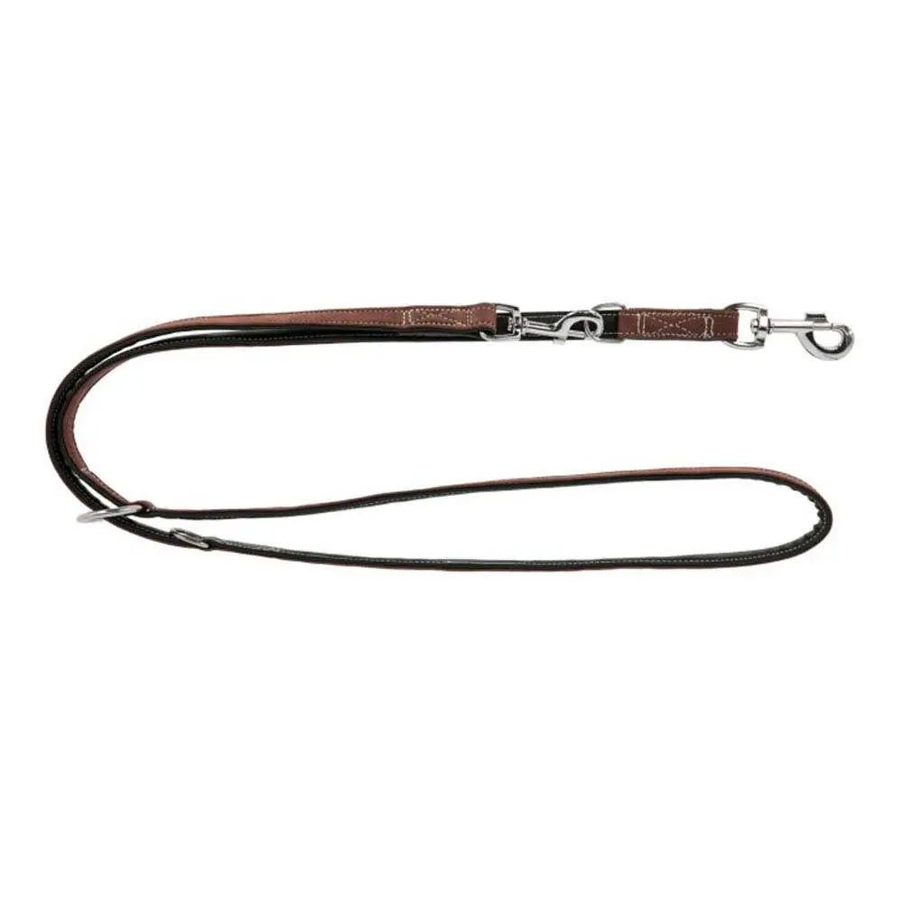 Laisse pour chien Zaldi California