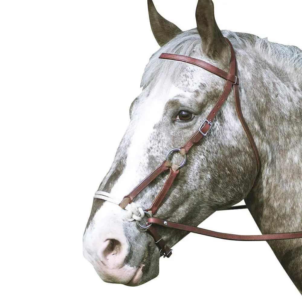 Bridons équitation pour cheval Zaldi Western Sidepull