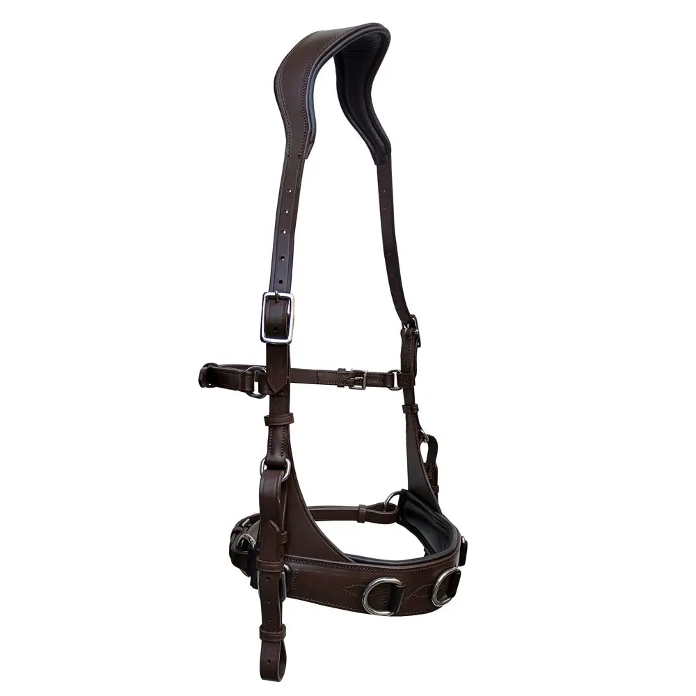 Caveçon pour cheval Zaldi AZB 822