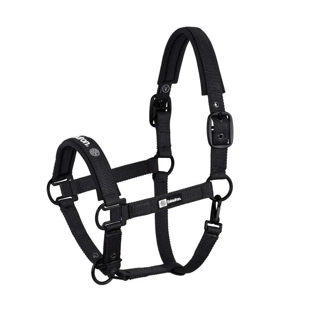 Bridons équitation pour cheval Zaldi 420188 817