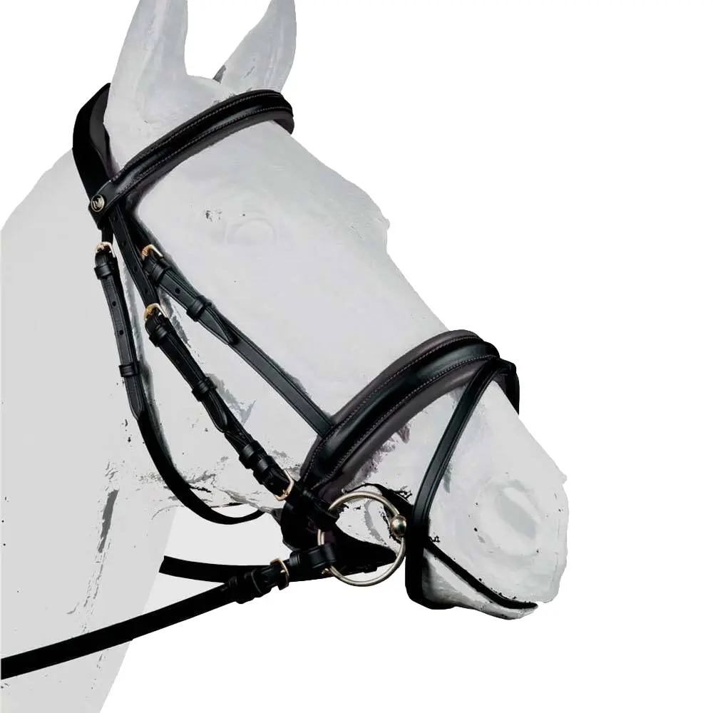 Bridons équitation pour cheval Zaldi Sanjorge
